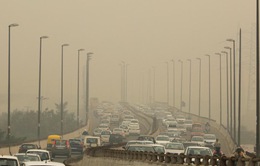 Ô nhiễm không khí ảnh hưởng xấu đến xương