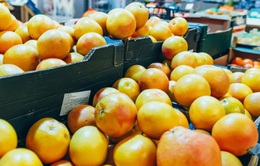 Việt Nam đứng thứ 9 trong các nước nhập khẩu trái cây tươi của Mỹ