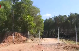 Thừa Thiên - Huế: Nhiều hàng rào trên cao tốc bị phá hoại