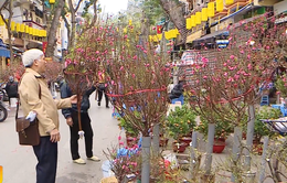 Nồng nàn vị Tết ở chợ hoa lâu đời nhất Hà Nội