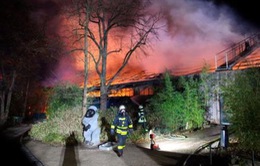 Hỏa hoạn nghiêm trọng tại vườn thú ở Đức