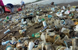 Nhiều người dân Thái Lan kêu gọi chung tay chống rác thải nhựa