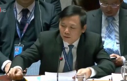 Việt Nam chủ trì phiên họp Hội đồng Bảo an về tình hình Trung Đông