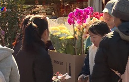 Chợ hoa ngày Tết tại Mỹ