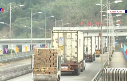 Hơn 1.000 tấn nông sản Việt trong chuyến xuất khẩu đầu năm