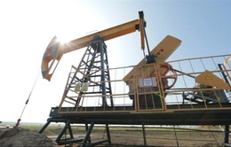 Giá dầu giảm mạnh sau khi Hội nghị OPEC+ bị trì hoãn