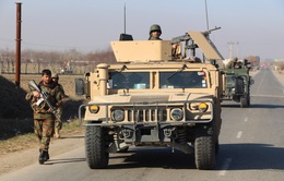 Afghanistan bắt giữ chỉ huy quan trọng của Taliban