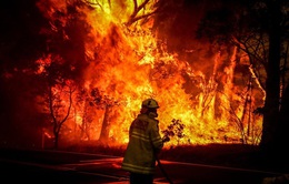 Các vụ cháy rừng có thể đẩy kinh tế Australia vào suy thoái
