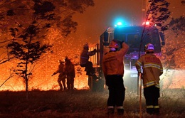Ấm áp tình người trong thảm họa cháy rừng ở Australia