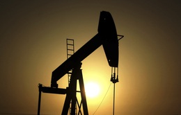 OPEC xác nhận các cơ sở dầu mỏ ở Iraq vẫn an toàn