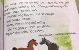 Sách giáo khoa tiếng Việt lớp 1 'nhiều sạn': Trách nhiệm thuộc về ai?
