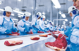 Trung Quốc đình chỉ nhập khẩu từ nhà xuất khẩu thịt bò lớn nhất Brazil