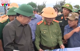 Phó Thủ tướng Trịnh Đình Dũng kiểm tra cảng cá Thọ Quang, TP Đà Nẵng
