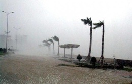 Những cơn bão lịch sử đã từng đổ bộ vào Việt Nam