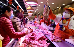 Giá thịt lợn tại Trung Quốc có xu hướng giảm