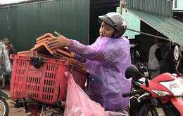 Sau bão, hàng ngàn người Quảng Ngãi chen lấn đi mua ngói