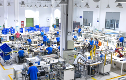Nhà máy sản xuất kỹ thuật số của Alibaba tất bật chuẩn bị cho Ngày Độc thân