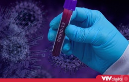 Tin nóng đầu ngày 18/11: Phát hiện biến thể mới của virus SARS-CoV-2