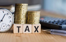 Quy định mới xử phạt chậm nộp thuế: Hàng nghìn doanh nghiệp lo lắng