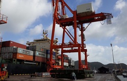 Tháng 11, lượng hàng hóa thông qua cảng biển giảm nhẹ
