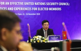 Việt Nam đóng góp tích cực, trách nhiệm vào công việc chung của Hội đồng Bảo an