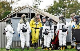 Đan Mạch ghi nhận hơn 200 trường hợp nhiễm SARS-CoV-2 lây từ chồn