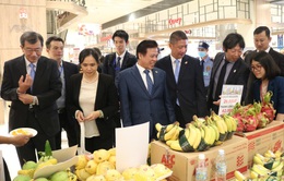Nỗ lực đưa sản phẩm Việt vào hệ thống bán lẻ toàn cầu