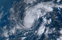 Máy bay săn bão thu thập dữ liệu dự báo bão