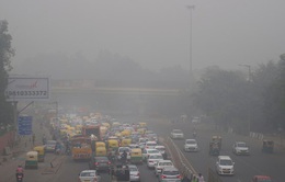 Ngày có chất lượng không khí độc hại nhất trong năm tại New Delhi