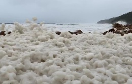 Hiện tượng bọt nâu kỳ lạ phủ kín bờ biển ở Australia