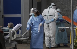 Số ca tử vong không giảm, Italy có thể đã tiêm vaccine nhầm nhóm đối tượng