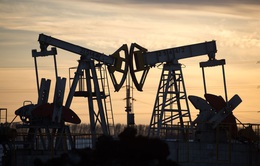 OPEC hạ dự báo nhu cầu dầu mỏ toàn cầu năm 2021