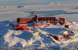 Ít nhất 36 ca mắc COVID-19 tại một cơ sở nghiên cứu của Chile ở Nam Cực