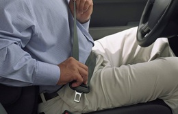 Ai là người cần cài dây an toàn khi đi ô tô?