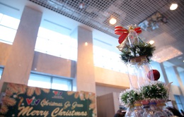 VTV Christmas go Green - Lung linh sắc màu Giáng sinh tại Đài Truyền hình Việt Nam