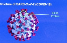 Kịch tính cuộc đua giữa vaccine COVID-19 và hàng nghìn biến thể SARS-CoV-2