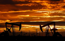 Giá dầu diễn biến thế nào trong năm 2021?