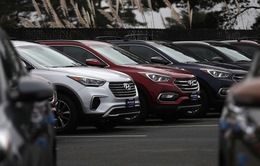 Chậm trễ triệu hồi xe lỗi, Hyundai và Kia bị phạt 137 triệu USD tại Mỹ