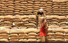 Trung Quốc nhập khẩu gạo Ấn Độ lần đầu tiên sau 30 năm