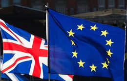 Anh và EU họp thượng đỉnh nhằm tháo gỡ bế tắc Brexit