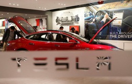 Tesla có thể nhận được hỗ trợ tài chính cho nhà máy xây dựng tại Đức