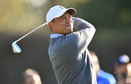 Tiger Wood thi đấu thất vọng tại giải golf Genesis Invitational