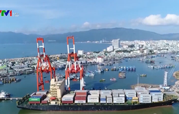 Cảng Quy Nhơn phấn đấu đạt 10 triệu tấn hàng trong năm 2020