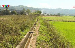 Giải pháp ứng phó với hạn hán hiệu quả tại Đắk Nông