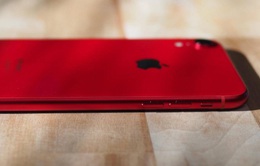 iPhone 9 sẽ ra mắt vào ngày 31/3