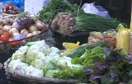 Đằng sau cơn sốt giá rau ở các chợ truyền thống
