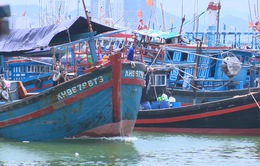 Ngư dân bị nợ tiền - hệ lụy khi xuất khẩu cá ngừ gặp ách tắc