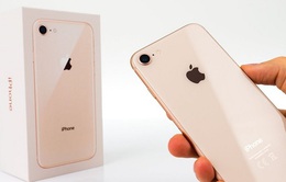 Apple bắt đầu sản xuất thử nghiệm iPhone 9
