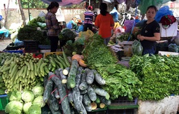 TP.HCM: Giá rau củ quả tại chợ truyền thống ở mức cao