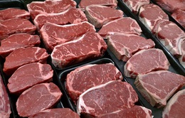 Thay thịt đỏ bằng protein thực vật hoặc sữa giúp sống lâu hơn